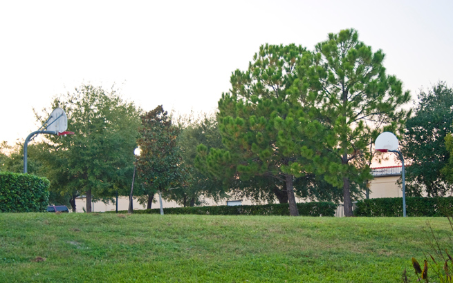 Living Green Green Area with Basketball Court