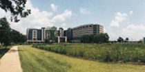 MD Anderson Cancer Research Institute Lake Nona